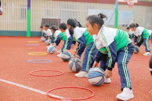 小学生三年级50字小篮球课的感想
